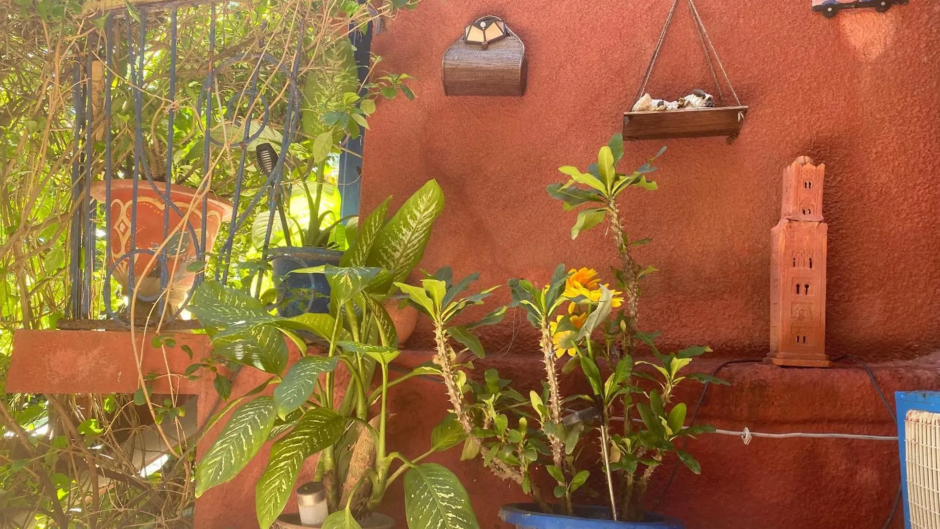 Fabuleux Studio Petit Marrakech Dakar Senegal